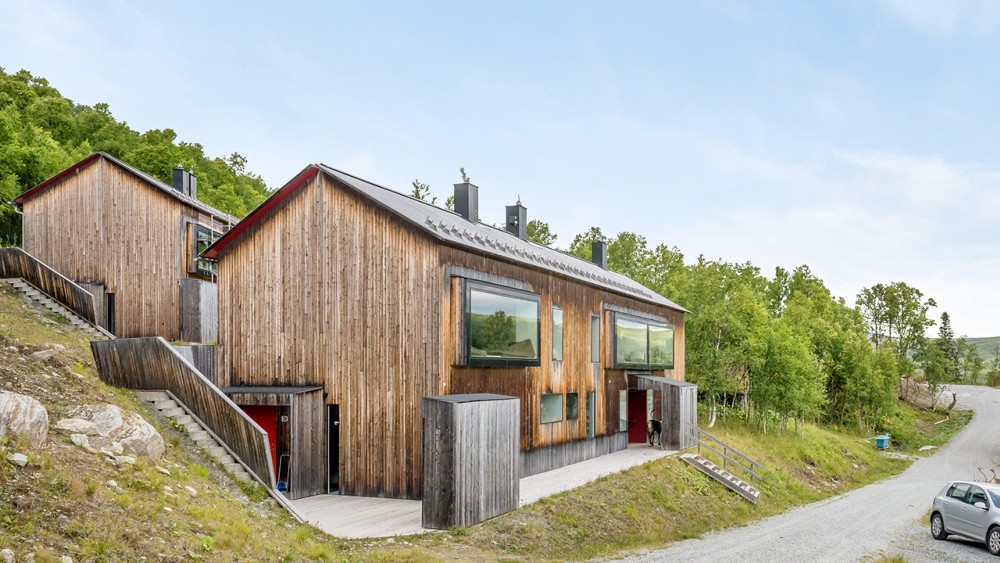 Fjällbjörken 31
