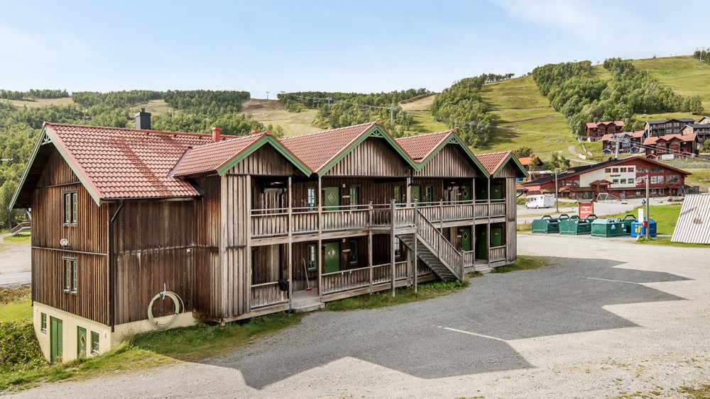 Bergfinken B