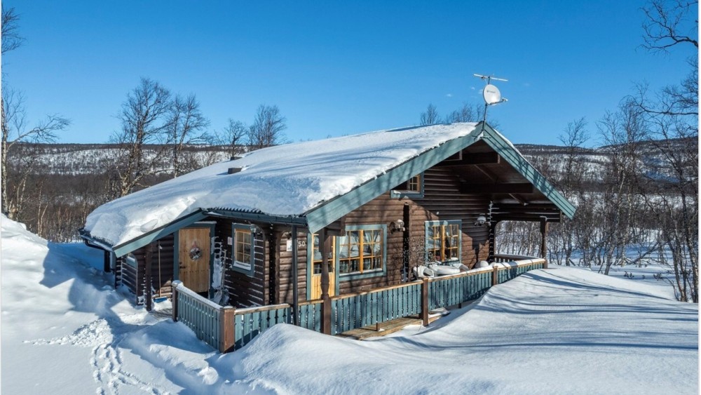 Skogsstjärnan